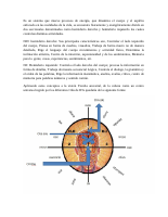 El cerebro.docx